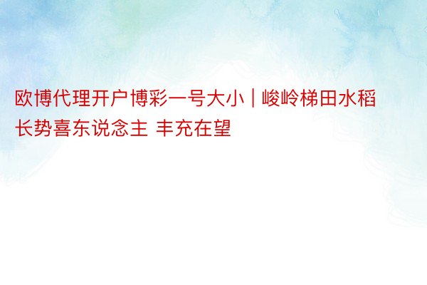 欧博代理开户博彩一号大小 | 峻岭梯田水稻长势喜东说念主 丰充在望