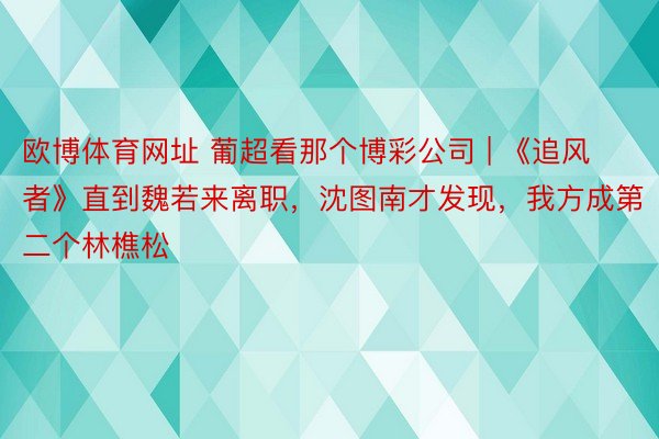 欧博体育网址 葡超看那个博彩公司 | 《追风者》直到魏若来离职，沈图南才发现，我方成第二个林樵松