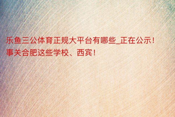 乐鱼三公体育正规大平台有哪些_正在公示！事关合肥这些学校、西宾！