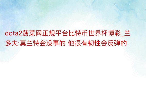 dota2菠菜网正规平台比特币世界杯博彩_兰多夫:莫兰特会没事的 他很有韧性会反弹的